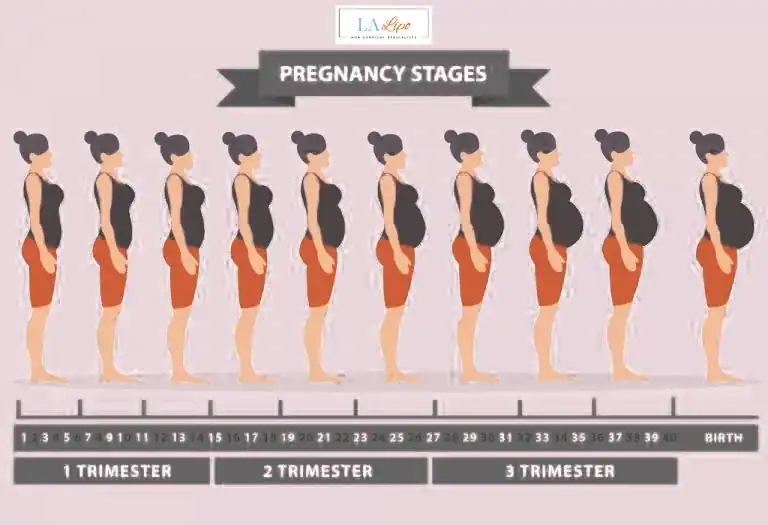 First Trimester (Weeks 1–12): Early Changes You Might Not Notice Chingford